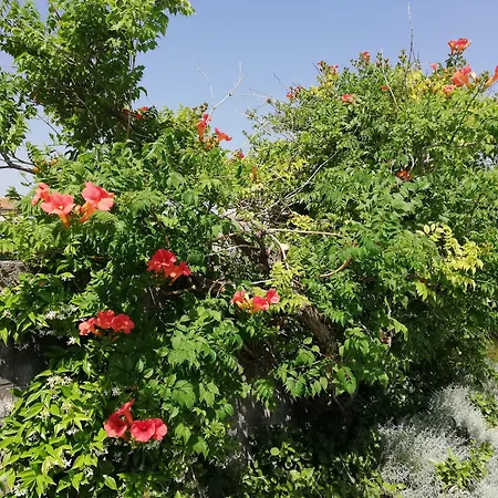 Casa de hóspedes Maison D Architecte Chez Huguette *