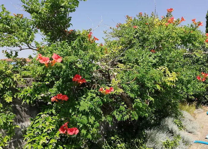 Vendégház Maison D Architecte Chez Huguette *